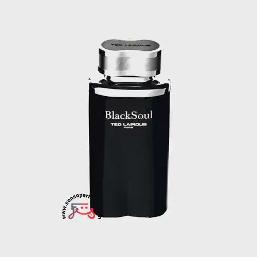 عطر ادکلن تد لاپیدوس بلک سول